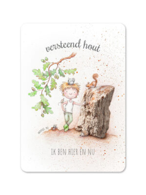 edelsteen mini kaart versteend hout